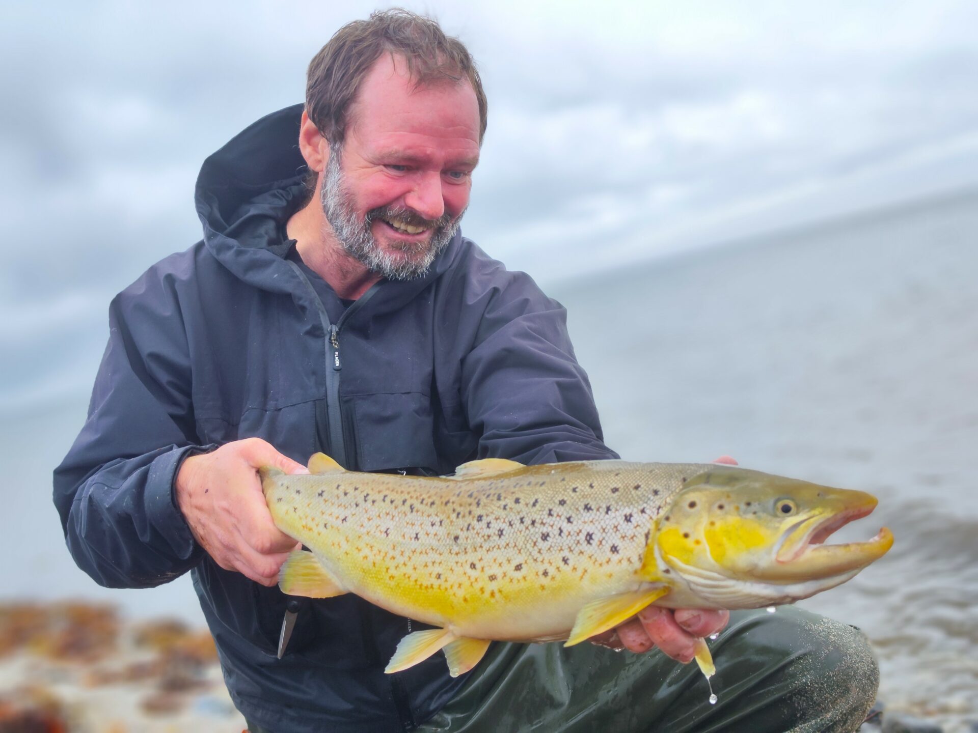 En kystplads udenfor Horsens Fjord. Rokkehullet