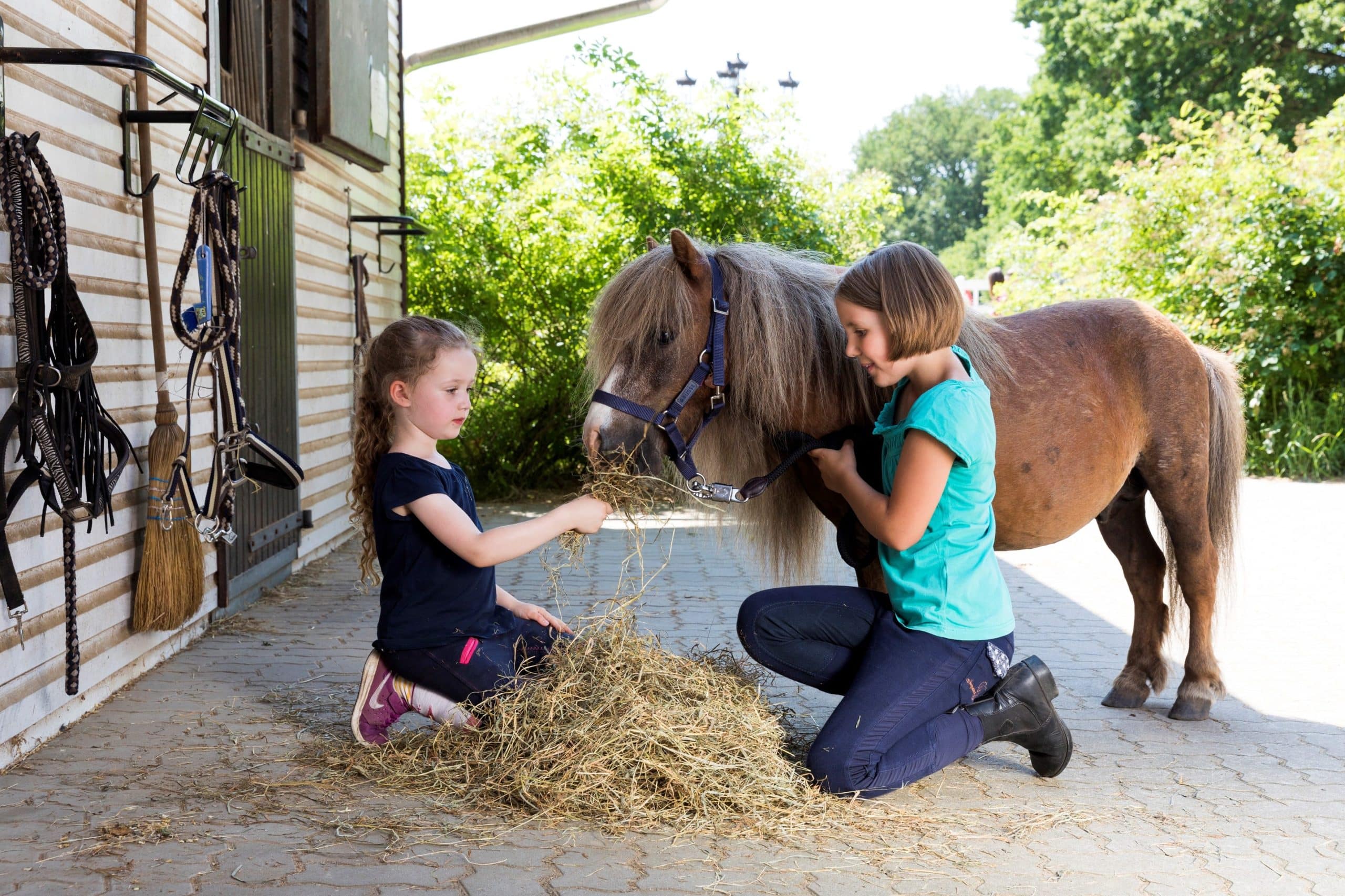Die Zukunft von Kinderreitschulbetrieben fest im Blick haben "Pferde für unsere Kinder" und HIPPOLINI beim ersten Symposium zu diesem Theam bei der PARTNER PFERD, Freitag, den 19. Januar 2024 Foto: Pferde für unsre Kinder