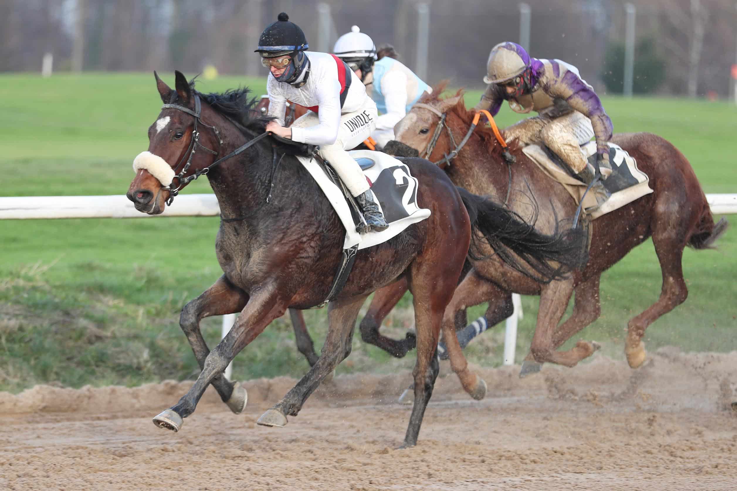 Dortmunder setzt sich auf der Sandbahn in Dortmund mit Thore Hammer-hansen an der Spitze durch. (Foto: marcruehl.com)