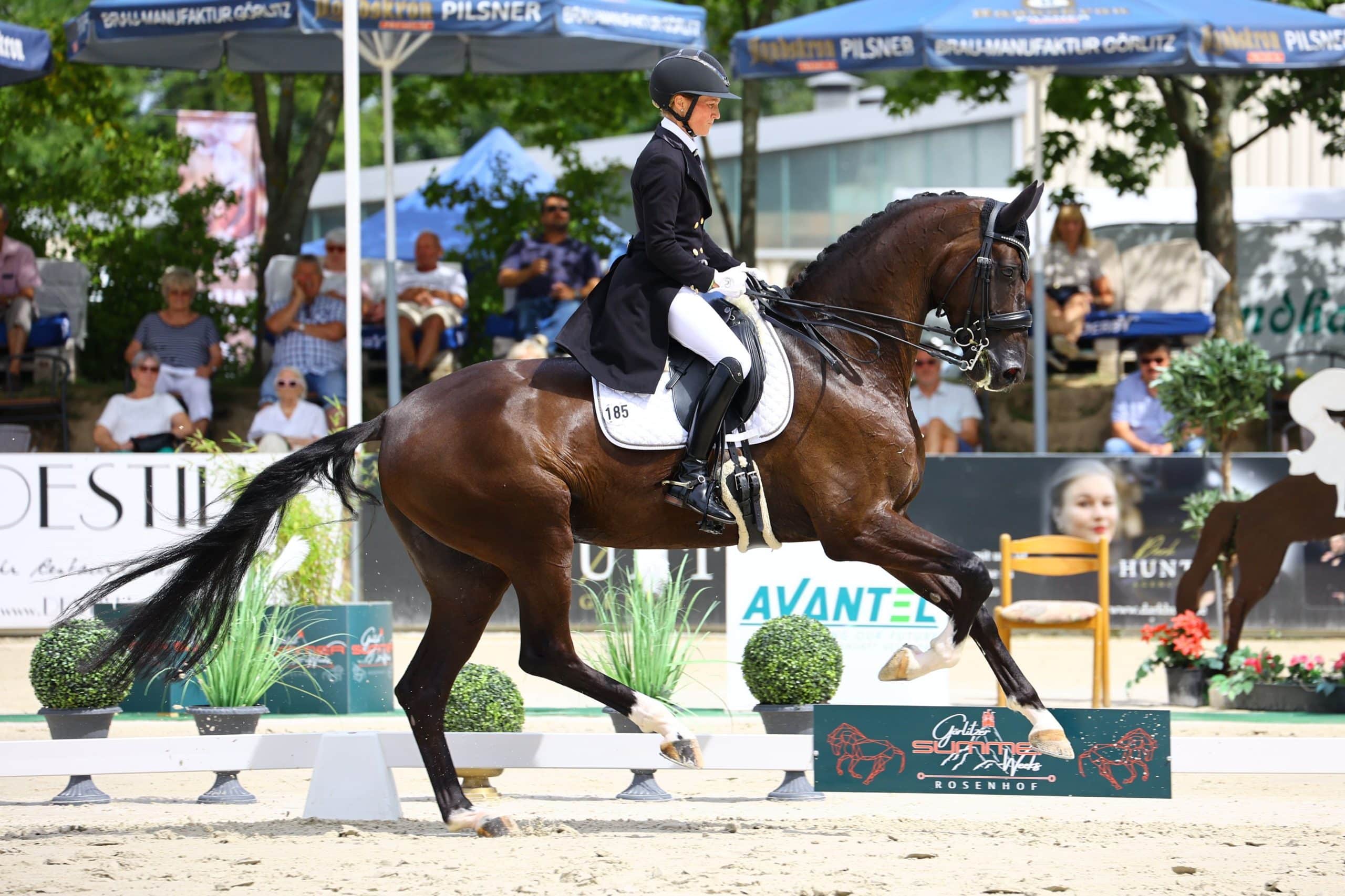 Aus der Qualifikation auf dem Rosenhof Görlitz schwungvoll ins Finale des NÜRNBERGER BURG-POKALs in Frankfurt - DSP Danny Cool und Helen Langehanenberg. (Foto: B. Placzek)