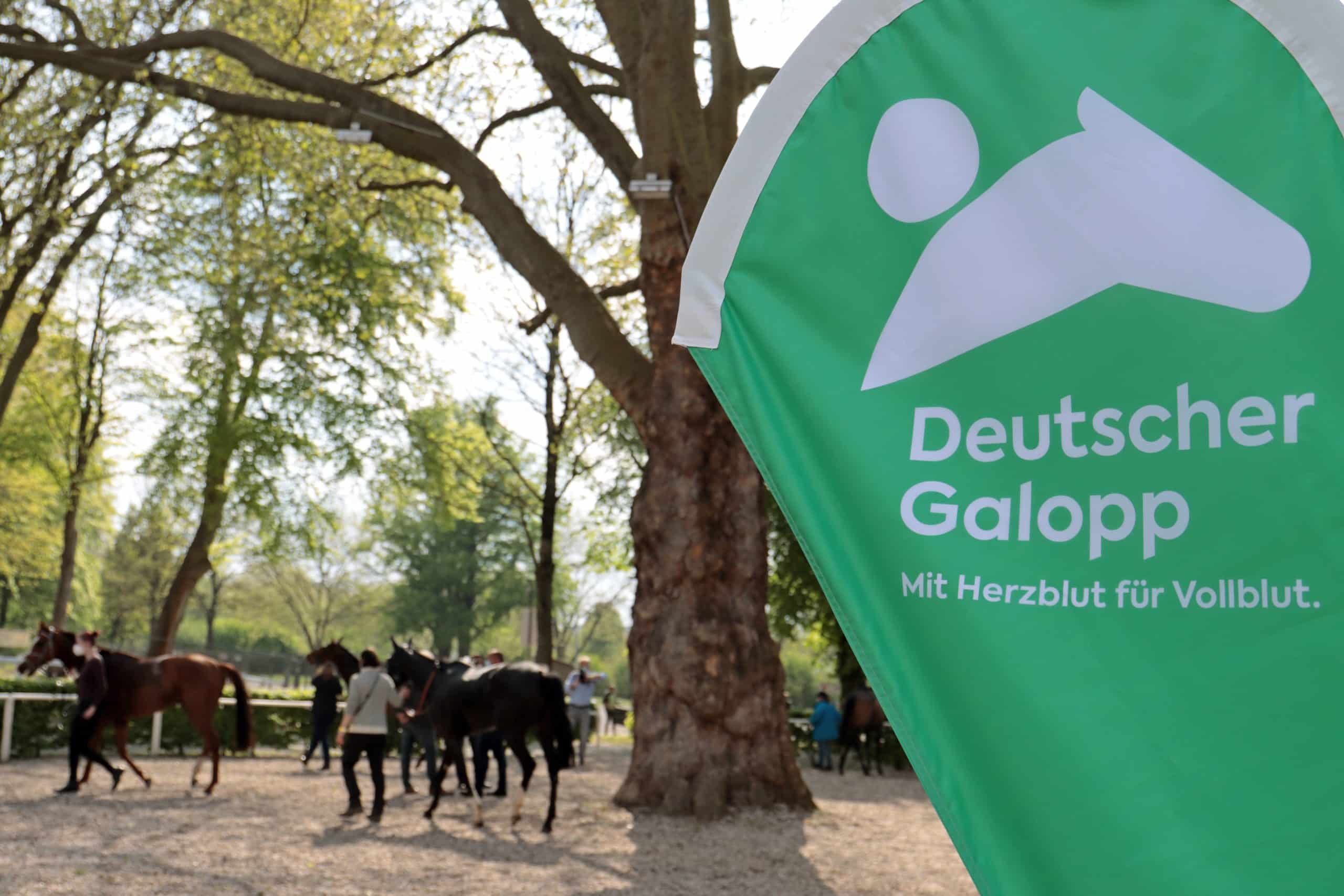 Impression: Deutscher Galopp e.V. Fahne