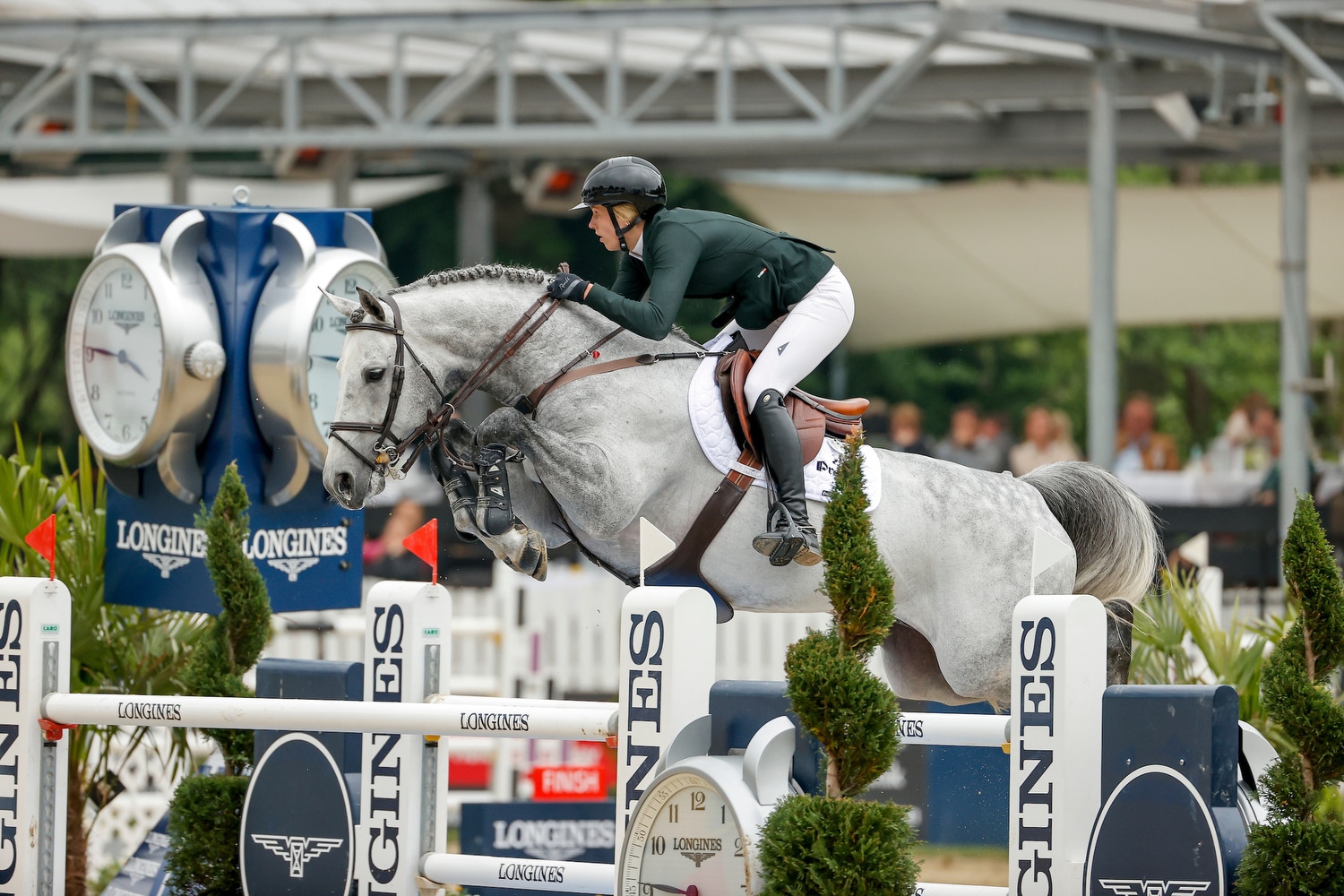 Der elf Jahre alte OS-Hengst Checkter von Cellestial-Lord Pezi aus der Zucht der Böckmann Pferde GmbH - hier mit Leonie Böckmann - glänzt als Vererber und Sportpferd. (Foto: Stefan Lafrentz)