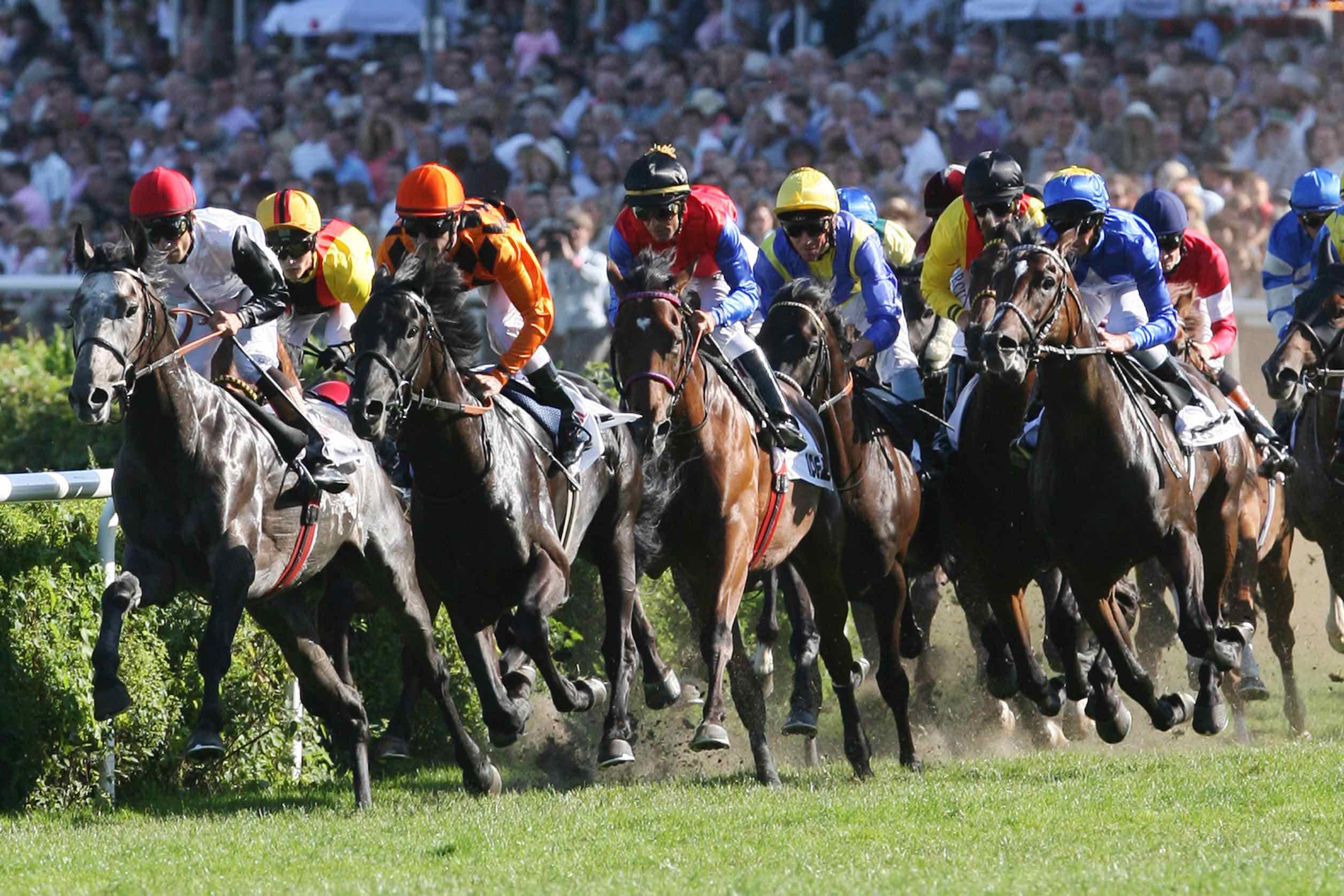 Noch 84 Kandidaten stehen in der Meldeliste des IDEE 155. Deutschen Derby - 20 Pferde dürfen in Hamburg-Horn maximal starten. (Foto: marcruehl.com)