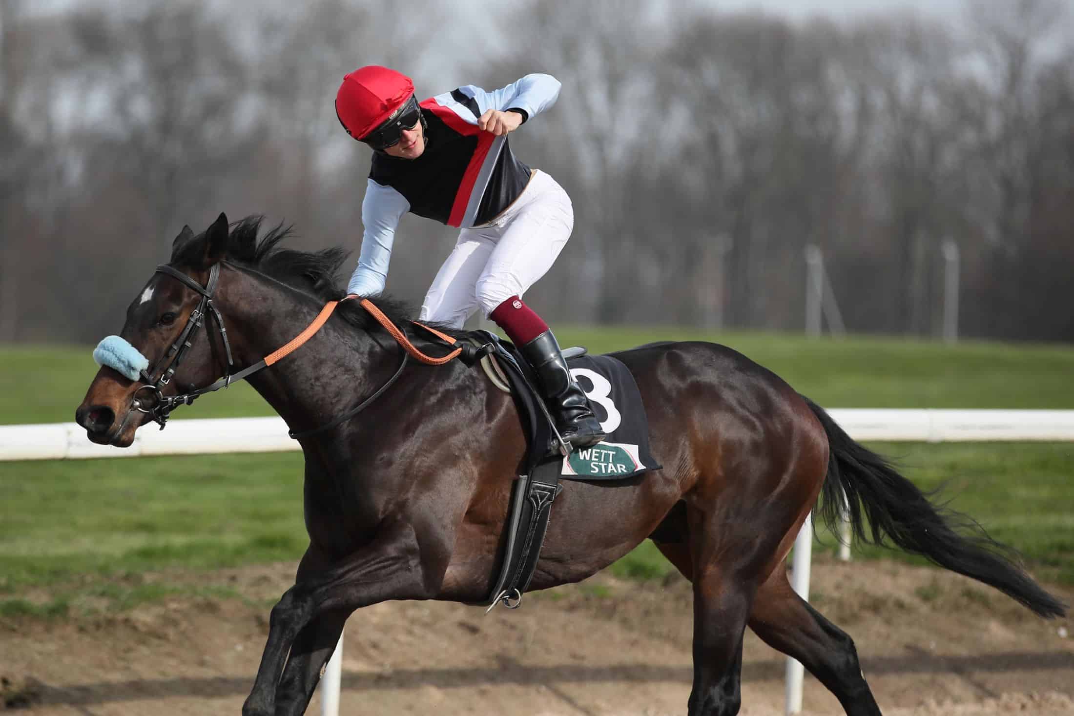 Erster Sieg im zweiten Rennen für Derbykandidat Like Magic mit Thore Hammer-Hansen. (Foto: marcruehl.com)