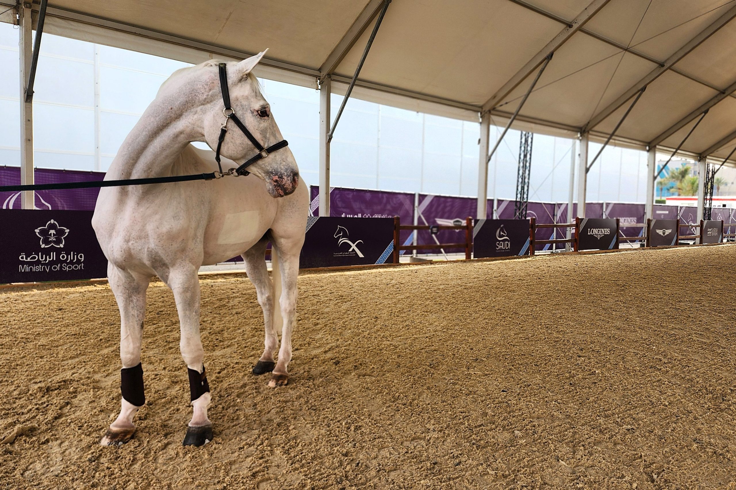 Pferde und Athleten kommen zum FEI World Cup™-Finale nach Riad. Foto: EN GARDE/ Boor
