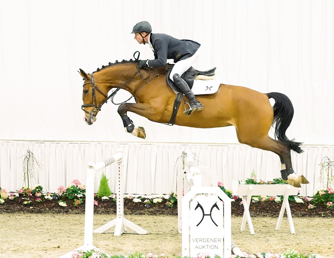 Preisspitze Carla Mia v. Carridam/Perigueux. Foto: Thorsten Kunst