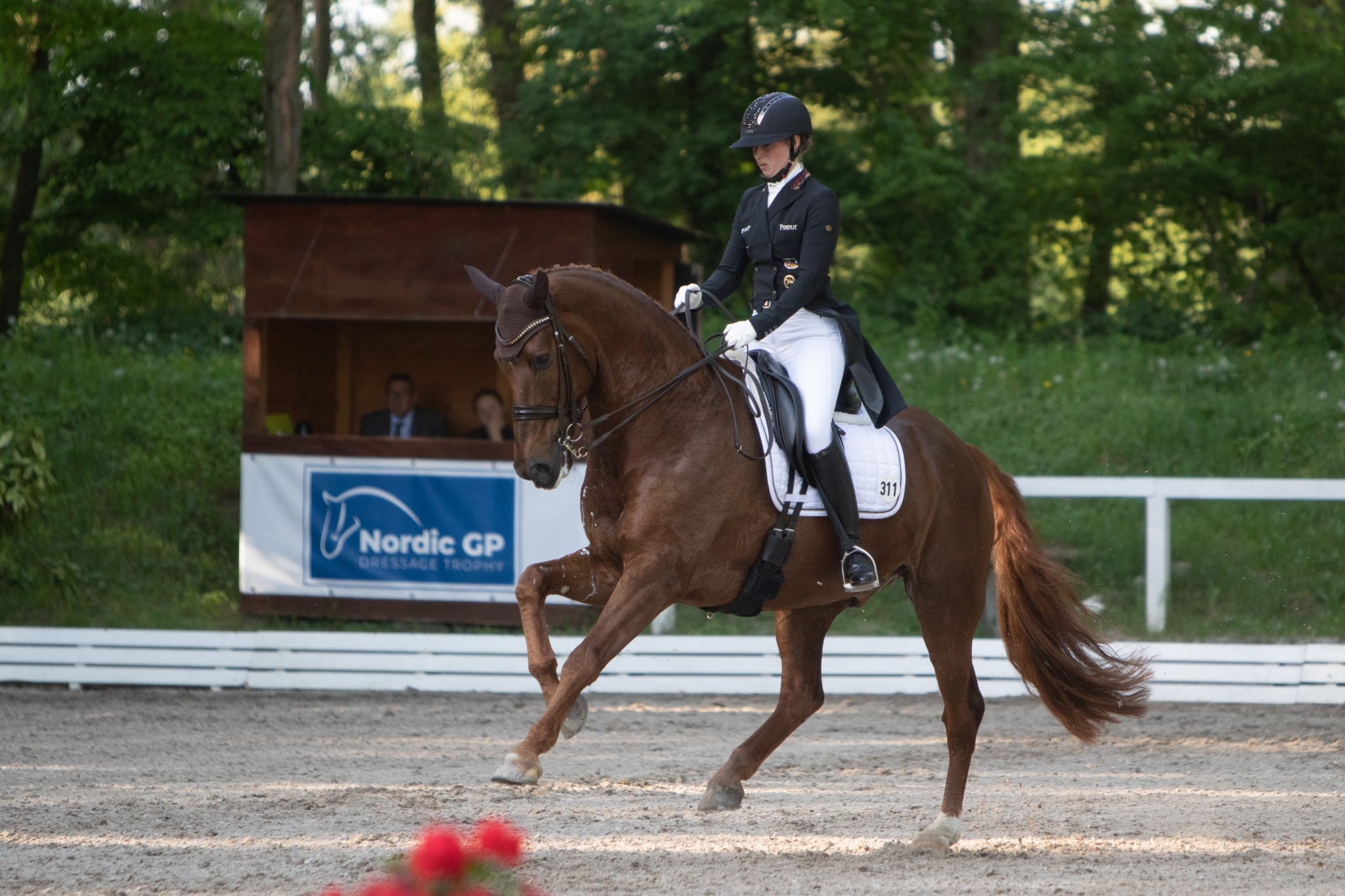 Mit richtig viel Schwung geht es auf der Reitanlage Klövensteen in Schenefeld in den Auftakt der NORDIC GP Dressage Trophy. 2023 eröffnete Fabienne Müller-Lütkemeier die vierteilige Serie mit einem Sieg. (Foto: TG)