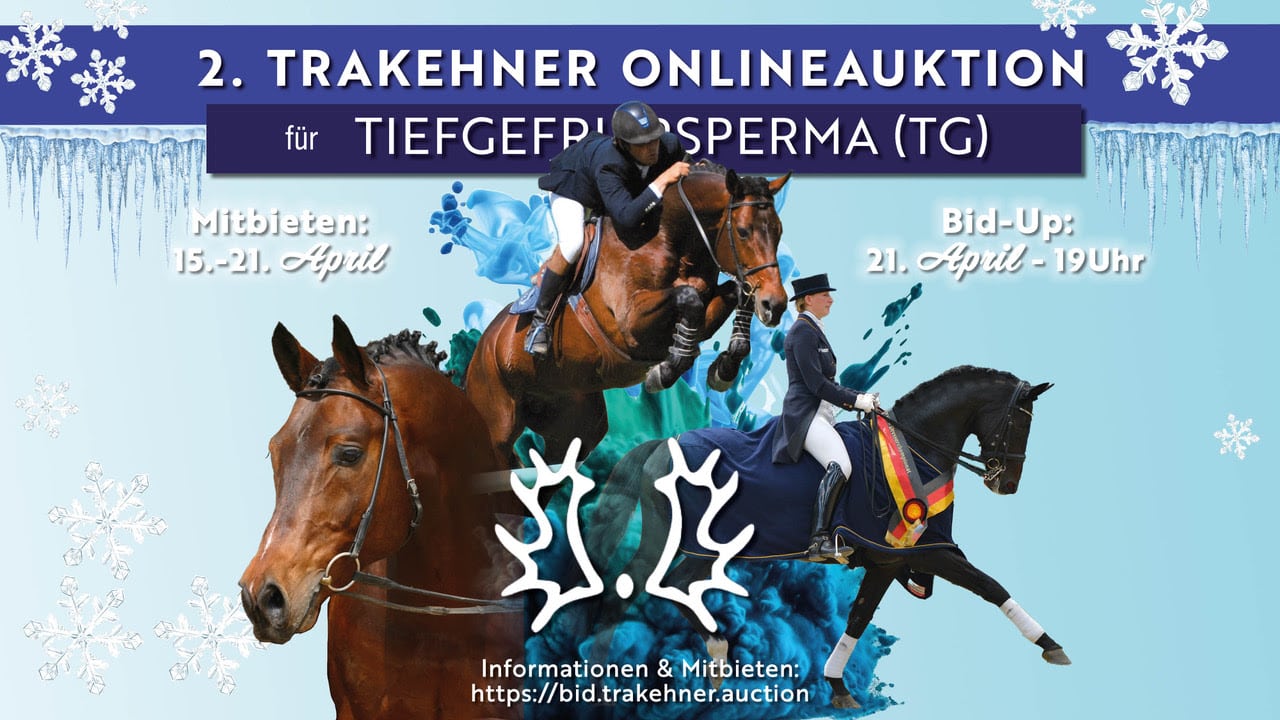 Trakehner TG-Sperma Auktion