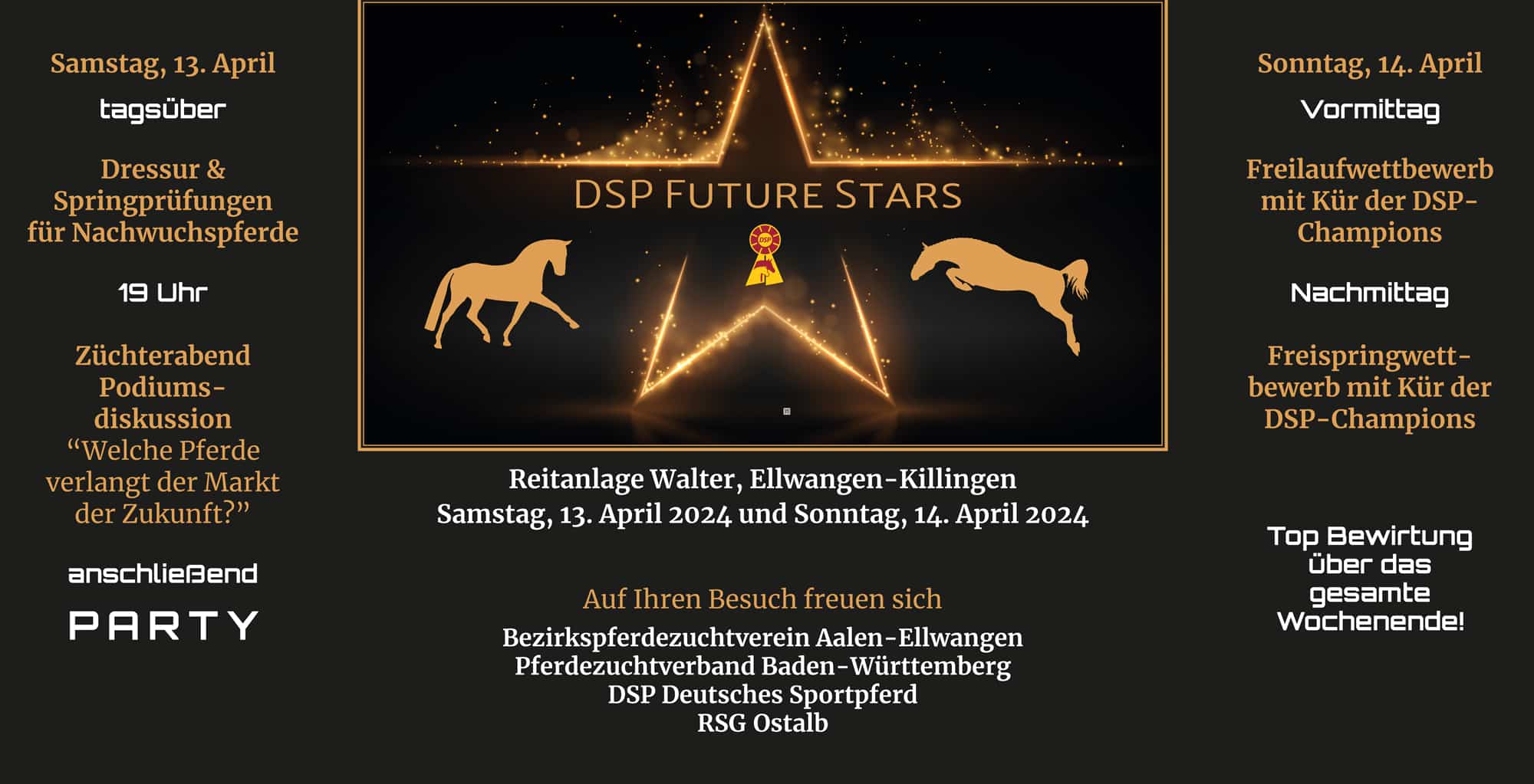 DSP Future Stars