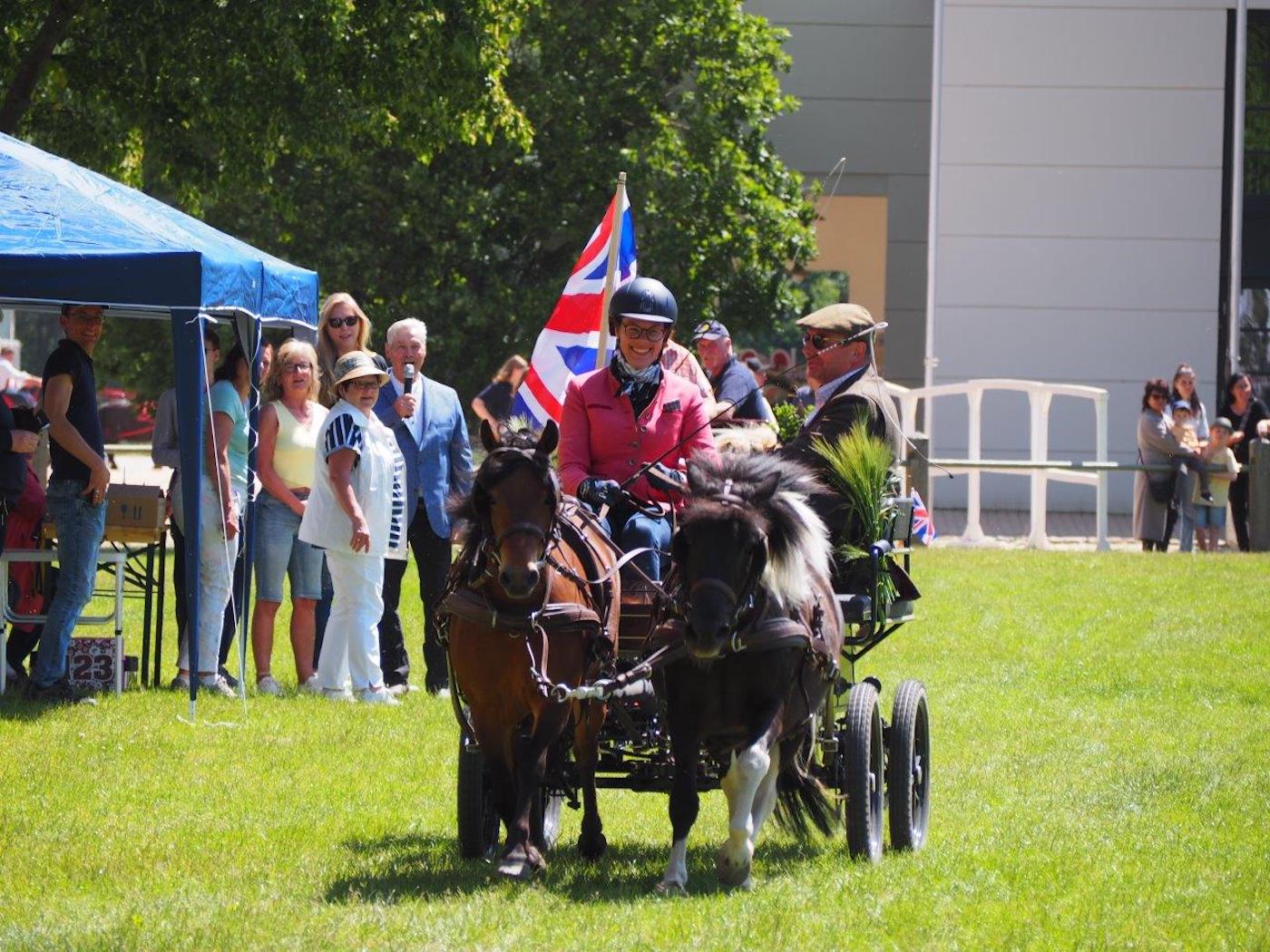 Machen allen Freude - die Shetlandponys aus Mecklenburg-Vorpommern. Auch Karoline Gehring, Zuchtleiterin des Mecklenburger Verbandes, zaubern die niedlichen Ponys ein Lächeln ins Gesicht. (Foto: Hanna Timm)