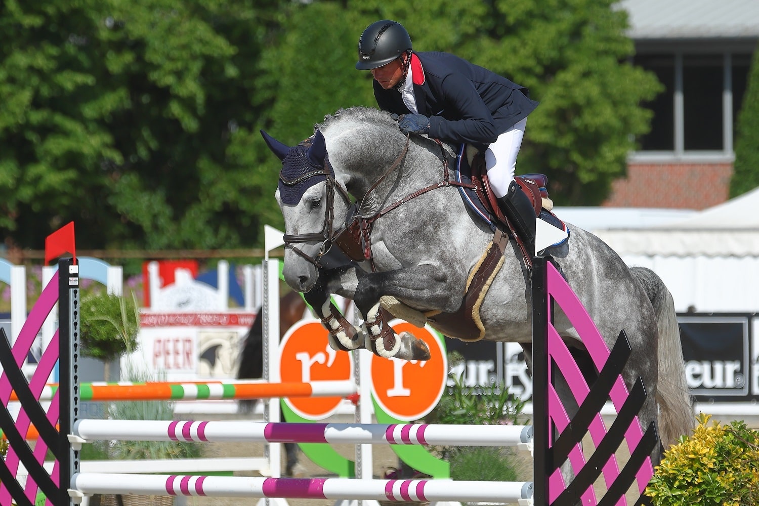 Chavaros II und Philipp Schulze im Finale des Landeschampionats der vierjährigen Pferde 2023 in Elmshorn. (Foto: Bischoff)