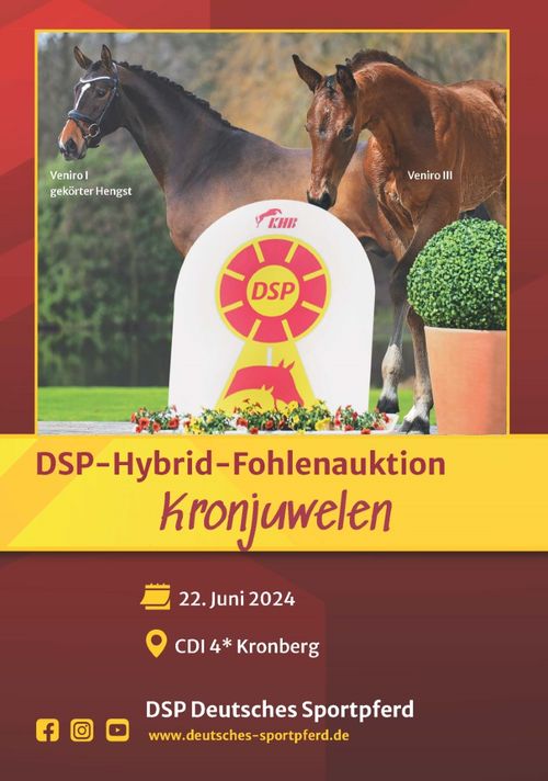 Plakat Auktion Kronberg 2024