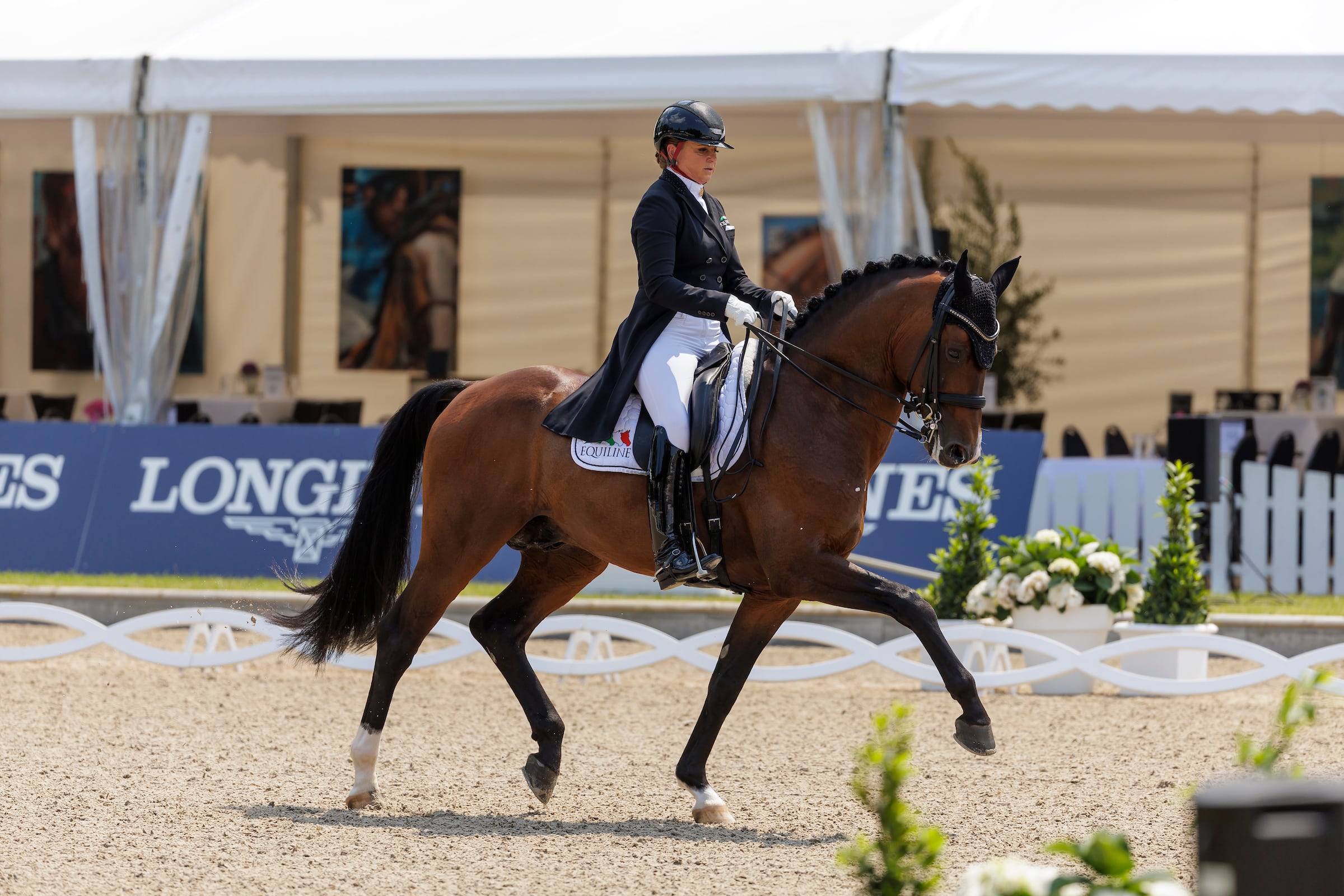 Dorothee Schneider und Escalito holten sich in Balve 2023 das Finalticket. (Foto: Stefan Lafrentz)