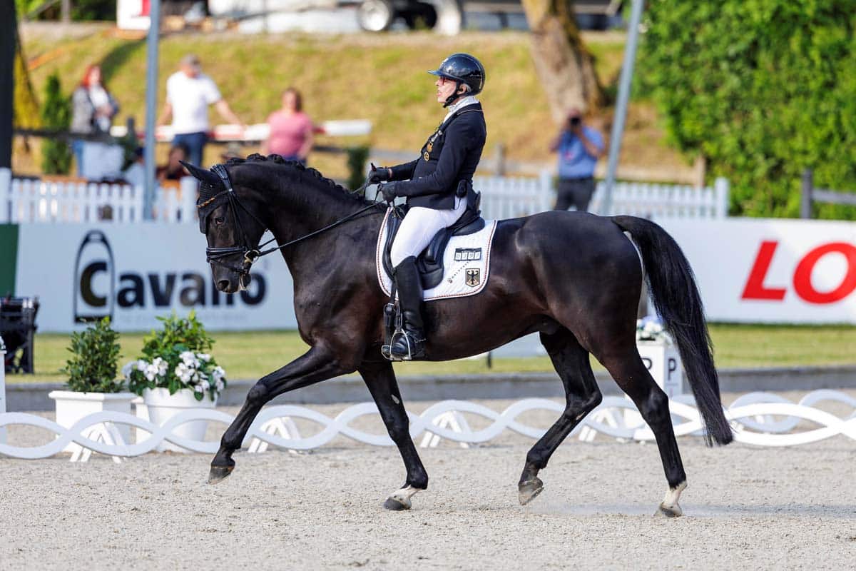 Titelverteidigung in Sicht: Heidemarie Dresing und Horse24Dooloop liegen bei DM Para-Dressur in Balve nach zwei von drei Wertungsprüfungen vorne. Foto (c) Balve/Stefan Lafrentz