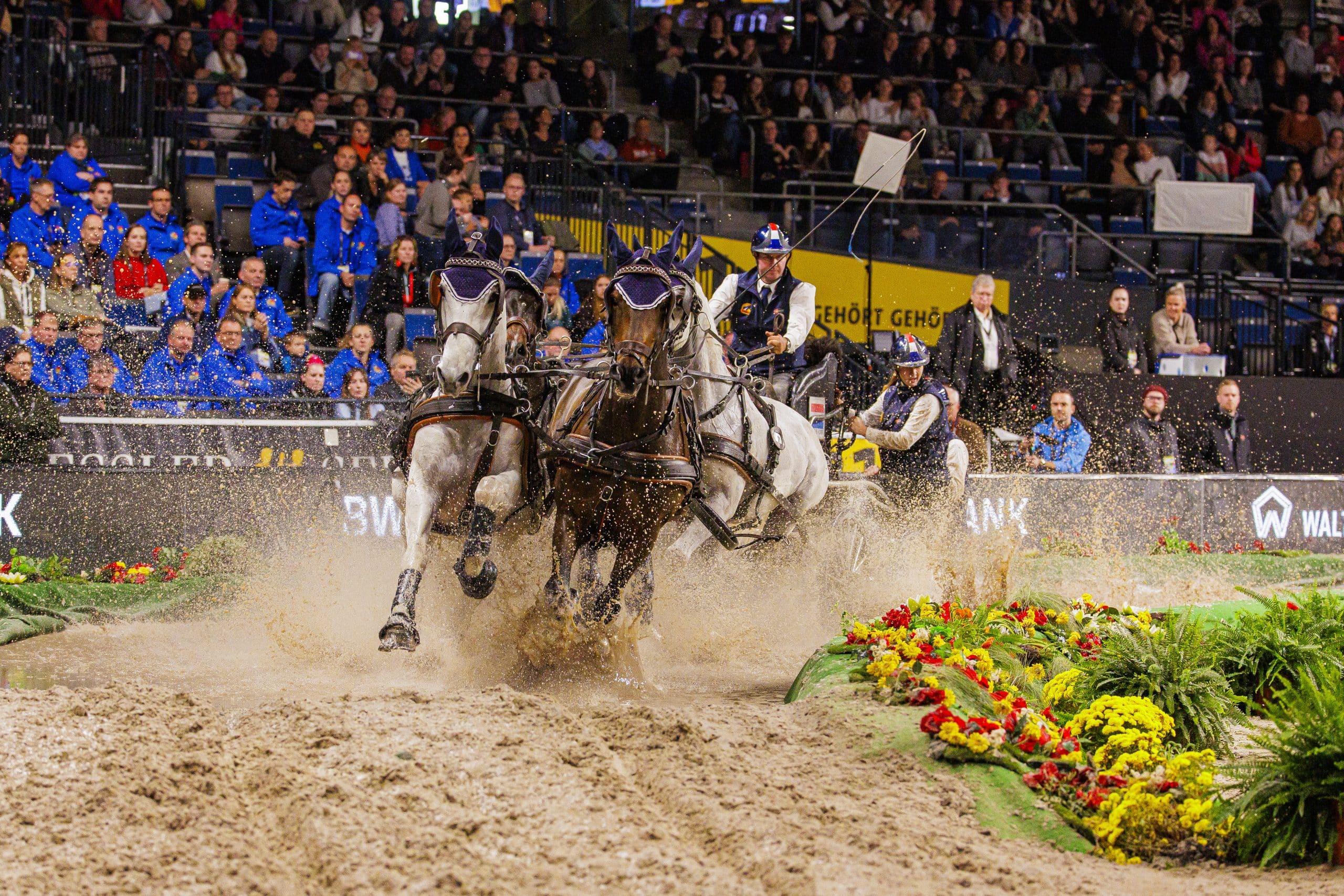 Koos de Ronde in Stuttgart ©FEI/Leanjo de Koster