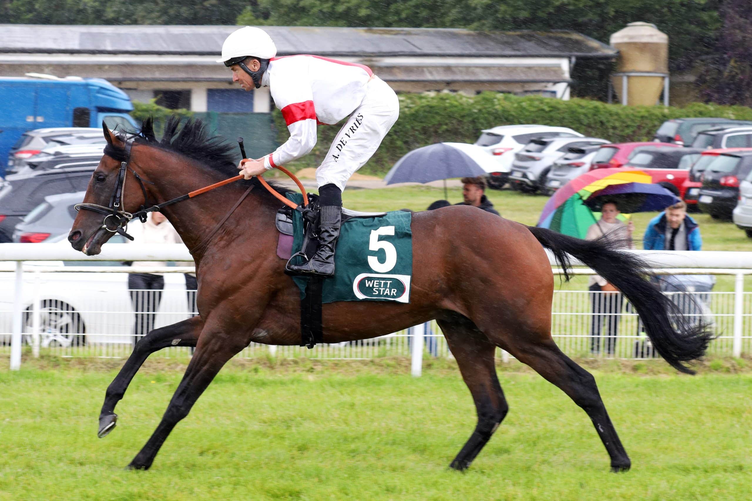 Der braune Adlerflug-Sohn Narrativo - hier mit Adrie de Vries - ist einer der Top-Favoriten für das IDEE 155. Deutsche Derby in Hamburg-Horn. (Foto: galoppfoto.de)