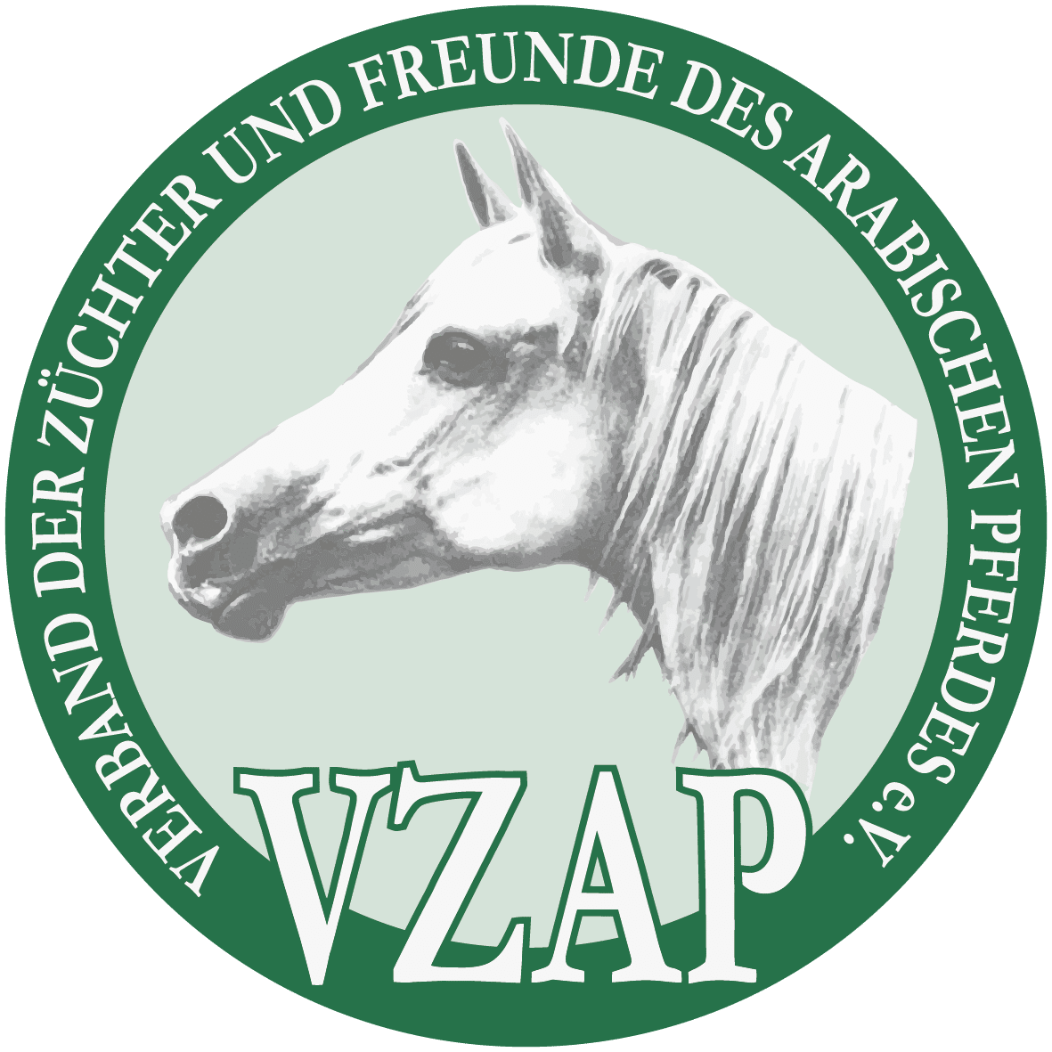 VZAP Logo