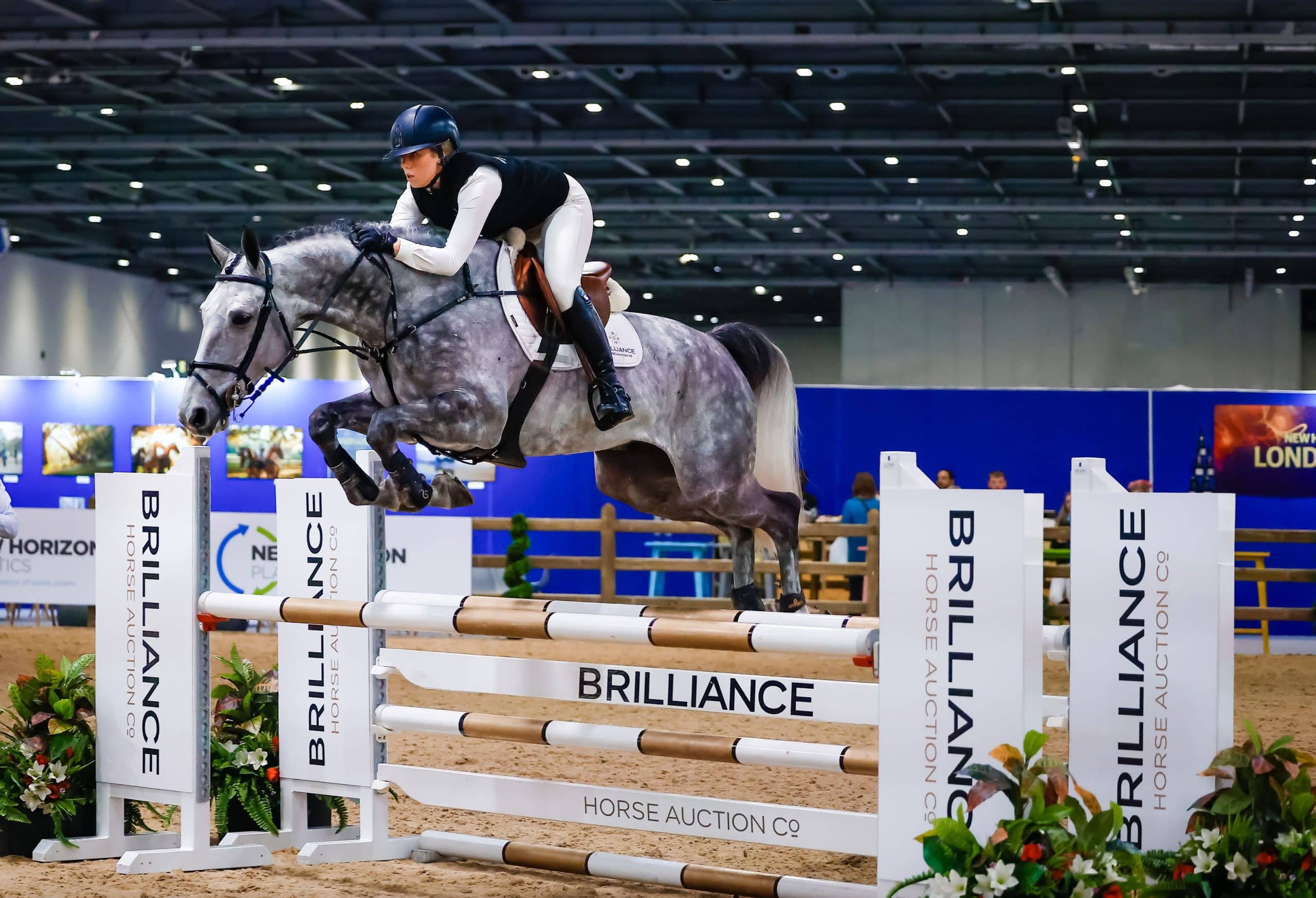 BRILLIANCE HORSE AUCTION ZURÜCK AUF DER LONDON INTERNATIONAL HORSE SHOW