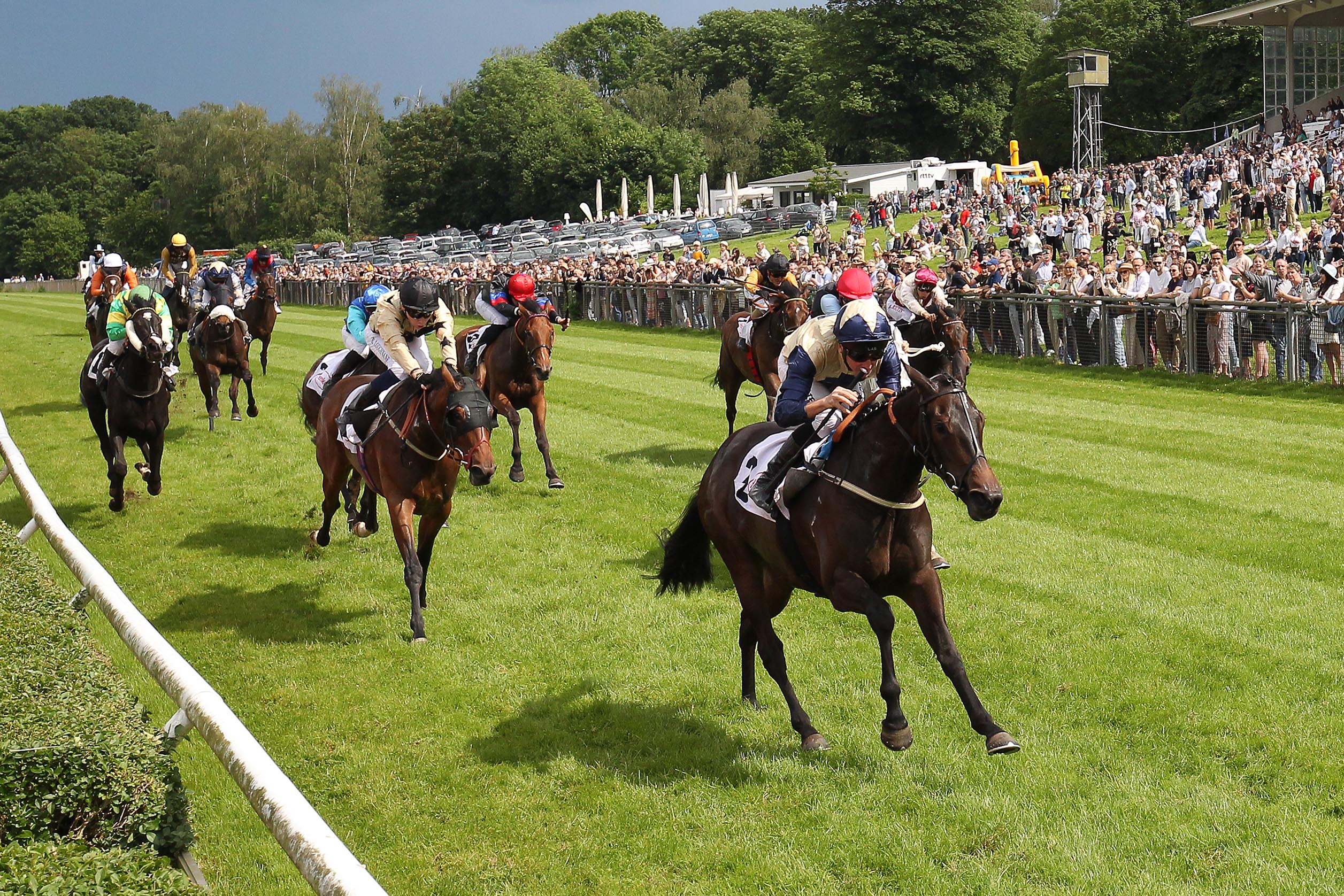 Impression: Darnation bei ihrem Sieg in den WEMPE 104. German 1000 Guineas Foto: Marc Rühl