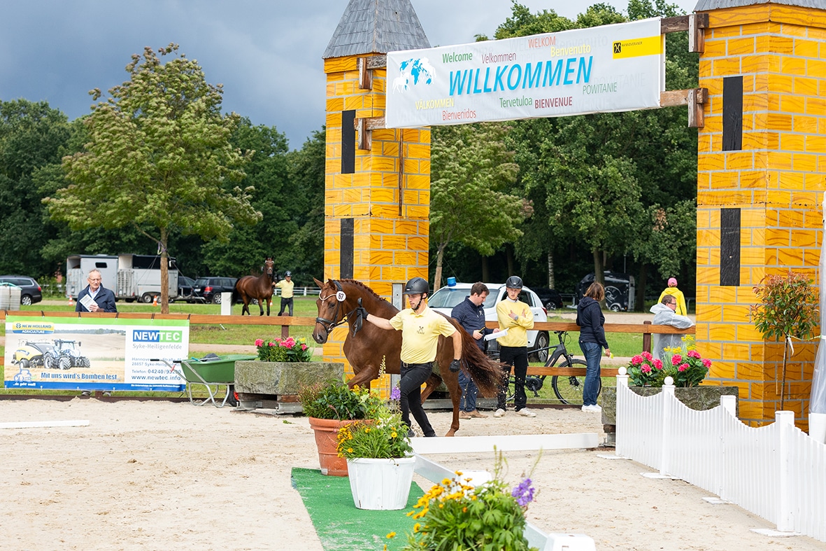 Herzlich willkommen bei der Herwart von der Decken-Schau (Foto: Hannoveraner Verband)