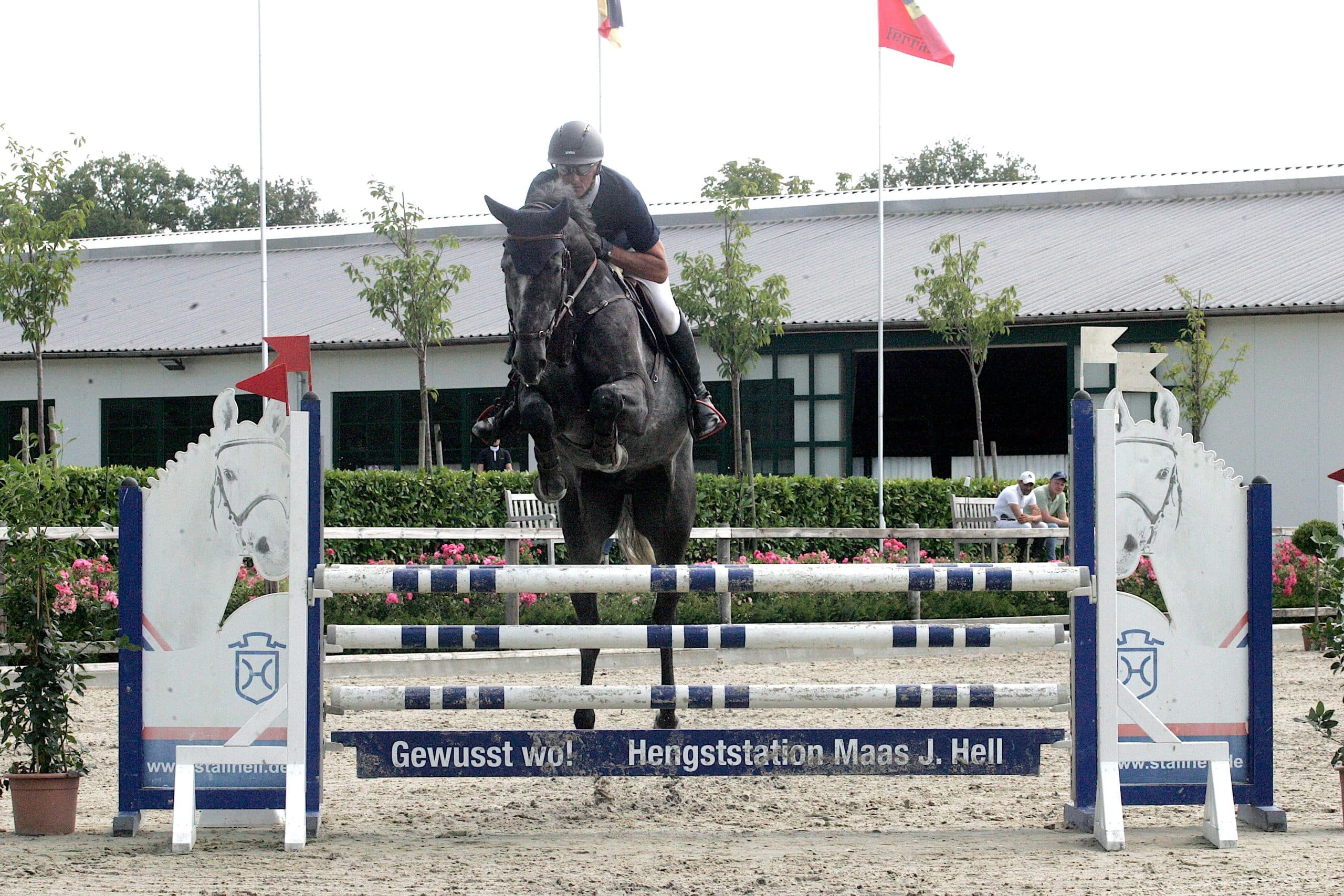 Auftakt für die jungen Springpferde in Klein Offenseth - hier Philipp Schulze mit Desperado Rex. Am Mittwoch geht es um die "Tickets" zu den Bundeschampionaten auf dem Gelände der Hengststation Maas J. Hell. (Foto: Brueske Medien)