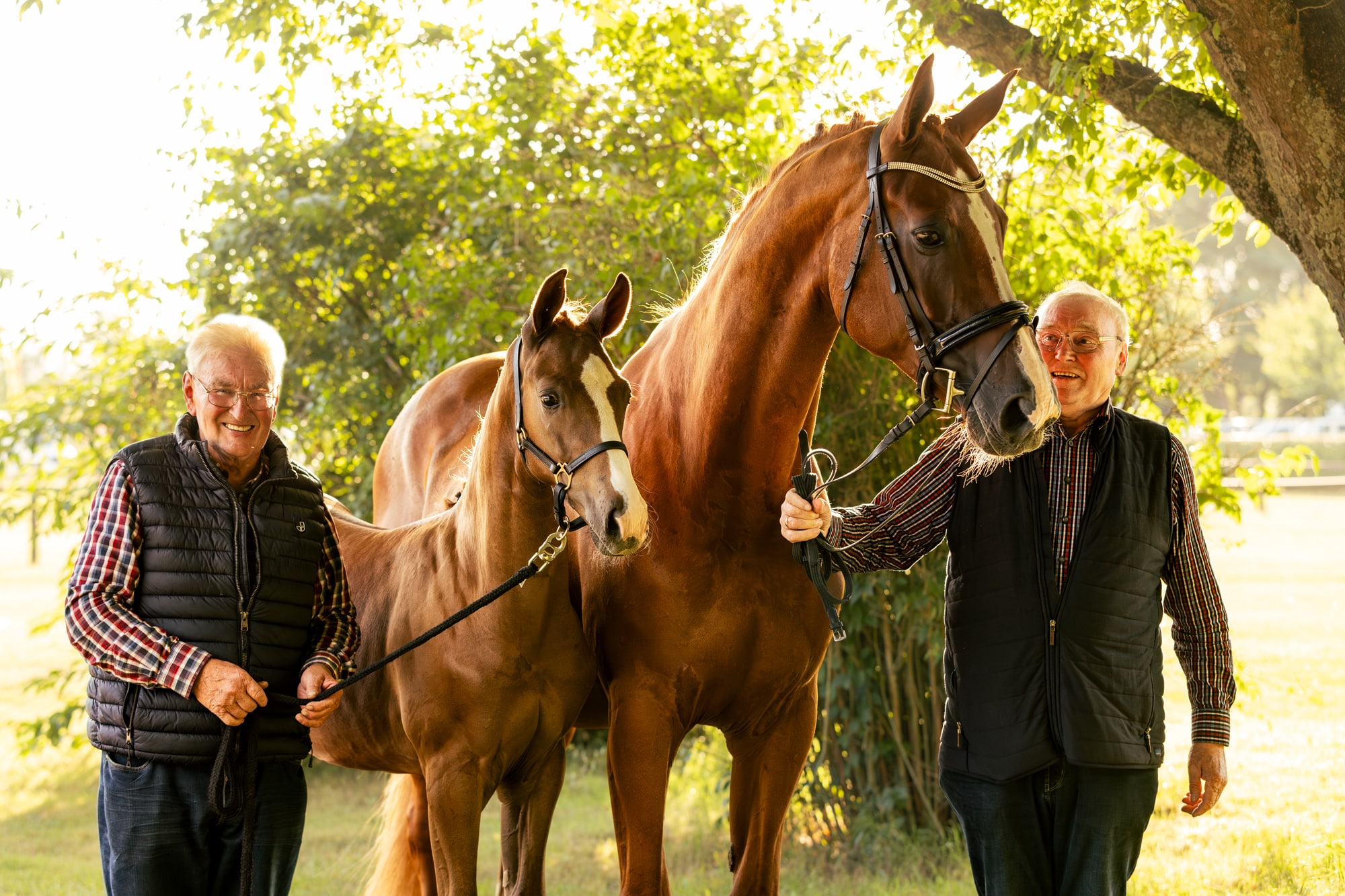 Valergo v. V-Power/Danone mit seinen Züchtern Lambert (rechts) und Alois Wester (Foto: Hannoveraner Verband)