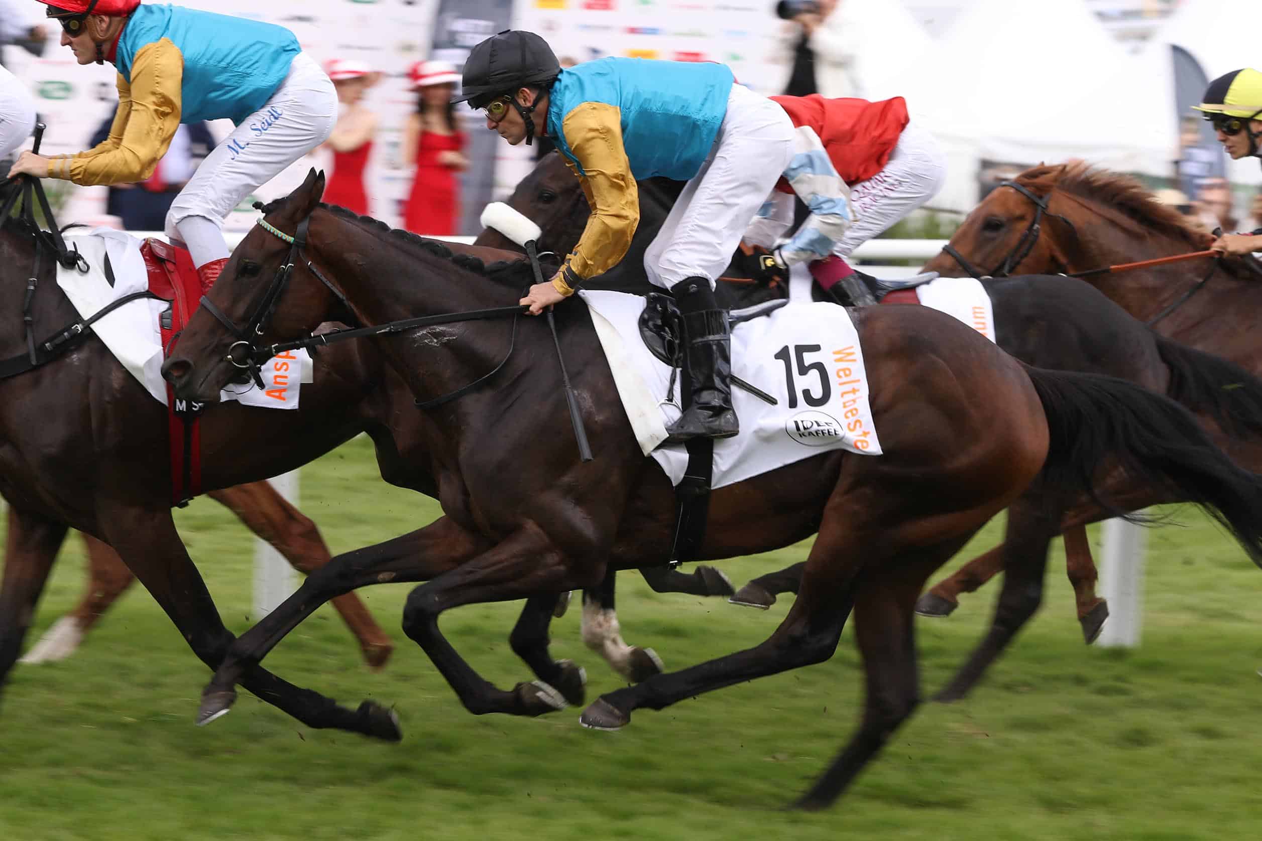 Vollblutstute feinster Abstammung, schon beim Deutschen Derby dabei und aktuell Kandidation für den Preis der Diana: Weltbeste von Soldier Hollow aus der Wellenspiel. (Foto: marcruehl.com)