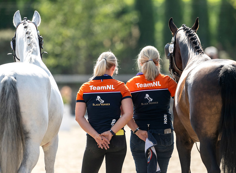 Team Niederlande bei der WM Vierspänner Foto: FEI