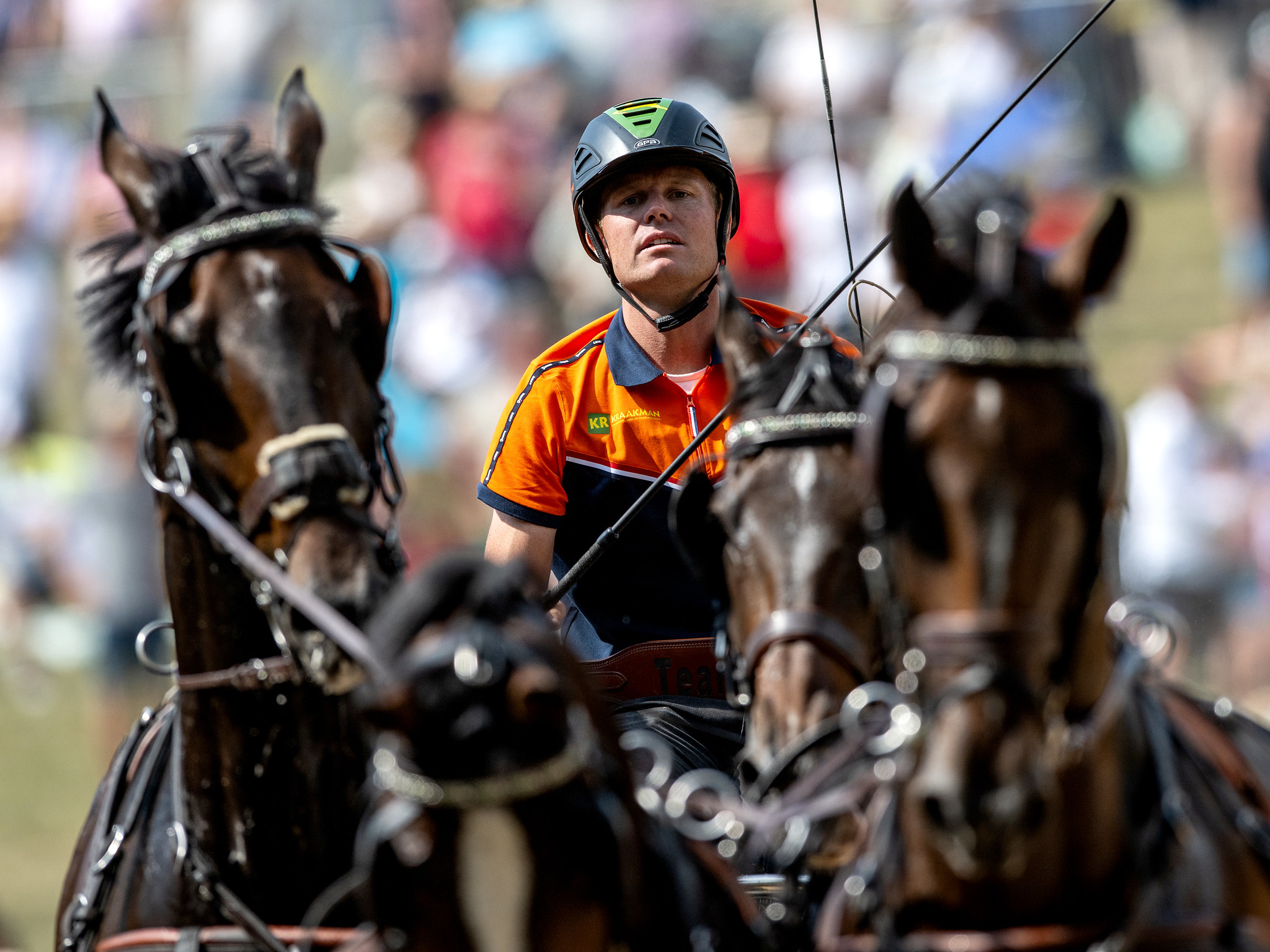 Der Niederländer BRAM CHARDON tritt mit seinen Pferden FREDDY, JAMES BOND, JUVENTUS und MAESTRO an und belegt im Marathon der FEI-Weltmeisterschaft im Vierspännerfahren am 7. September 2024 in Szilvásvárad, Ungarn, den dritten Platz. Copyright © FEI/Martin Dokoupil