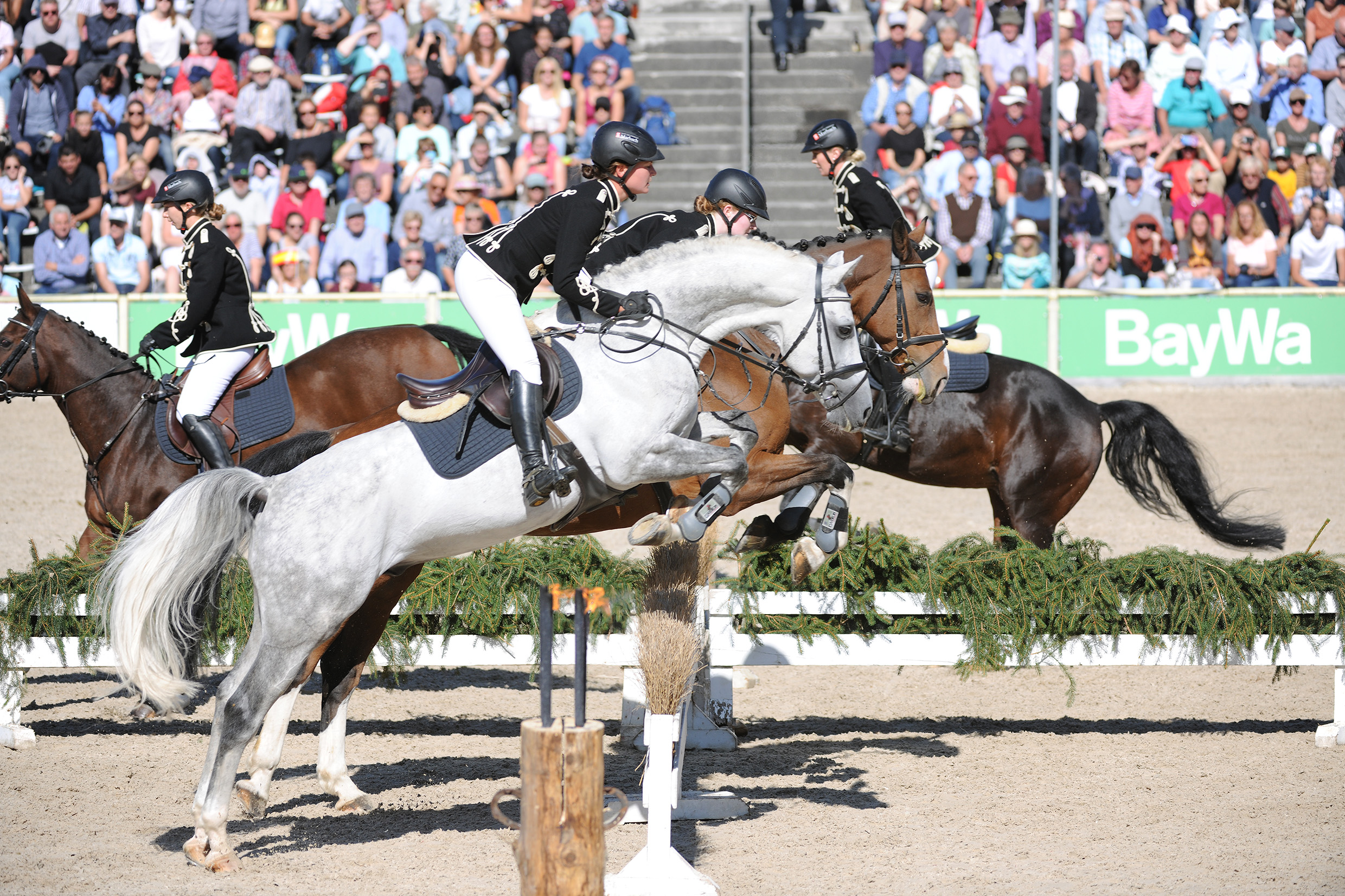 Die Springquadrille: Ein gern gesehenes Schaubild bei den Hengstparaden (Foto: Stephan Kube)