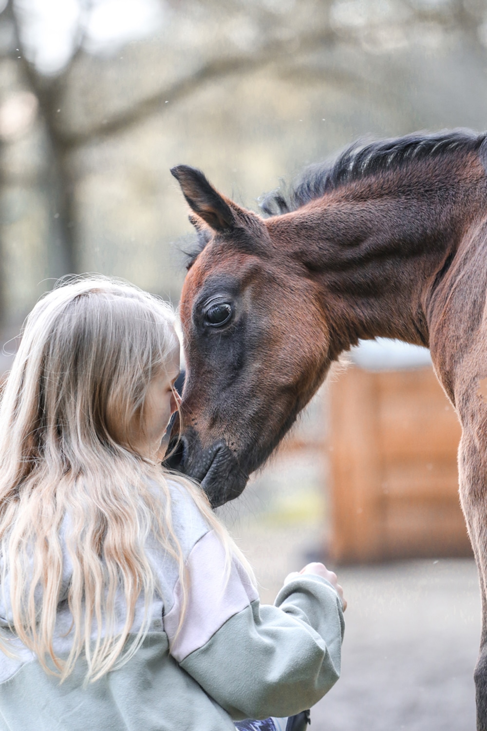 Das dritte Siegerbild des VZAP-Fotowettbewerbs gelang Liessa van der Wyk: Das Fohlen Azim Al Ahad Ibn Dajan und seine kleine Freundin vertrauen sich vollkommen. (Foto: Liessa van der Wyk)