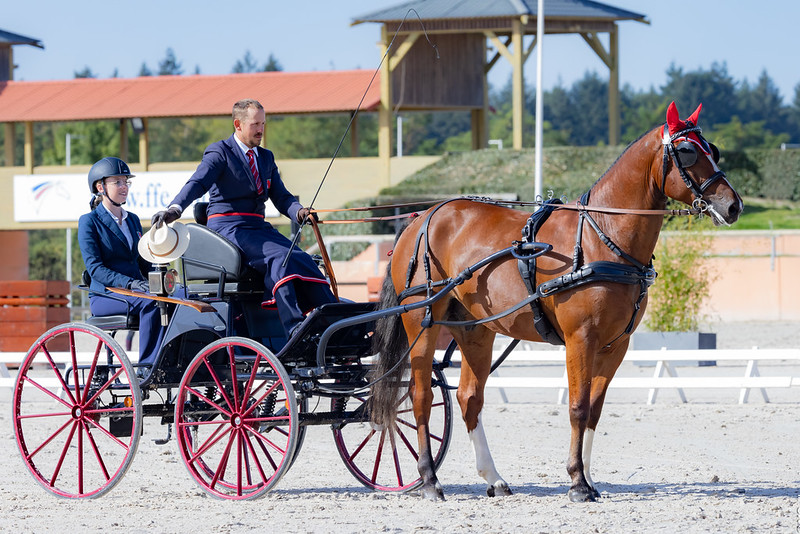 Mario GANDOLFO (SUI) bei der FEI Driving World Championship for Young Horses 2023 – Lamotte Beuvron (FRA), 6-Jährige. Copyright ©FEI/FFE/Mélanie Guillamot