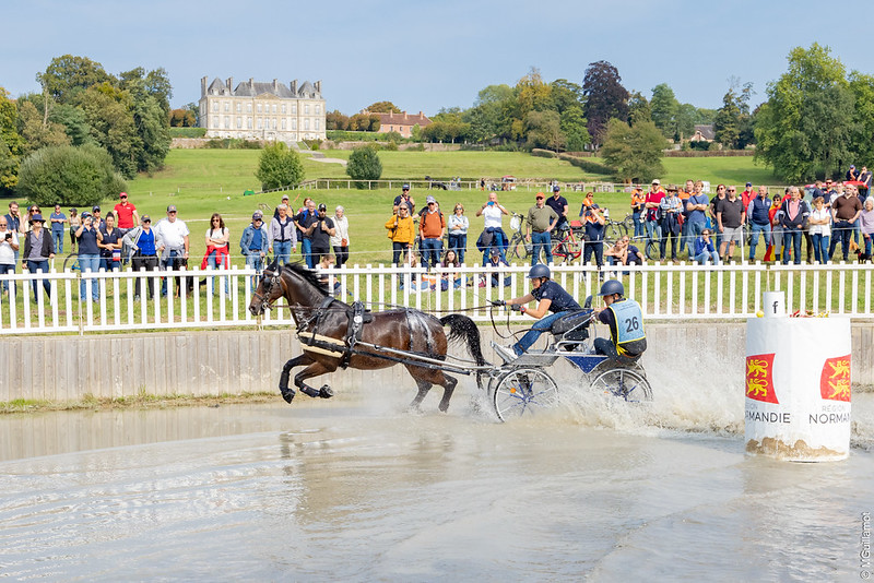 Marion Vignaud (FRA) und First Quality, Teil des Siegerteams bei der FEI-Weltmeisterschaft für Einspänner in Le Pin au Haras (FRA) . ©FEI/M Guillamot