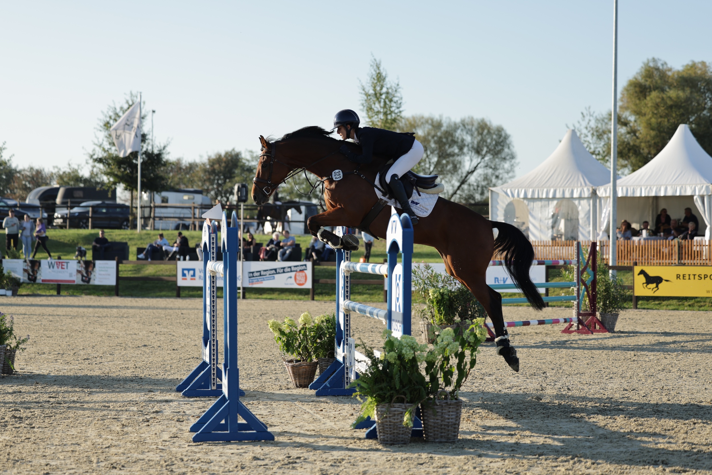 Natalia Stecher aus Nordhastedt jumpte mit Claomi auch in der zweiten Wertung der LM SH/HH auf Platz eins beim Havekoster Springfestival. (Foto: Photo-Rocket)