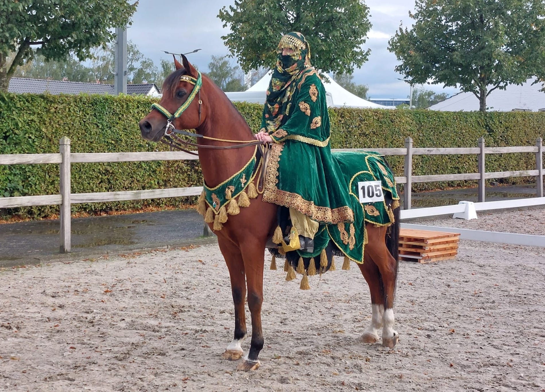 Auch ein "Must see" in Aachen: traditionelle arabische Riding-Classes mit prachtvollen Gewändern und Ausrüstung. (Foto: S. Hahn)