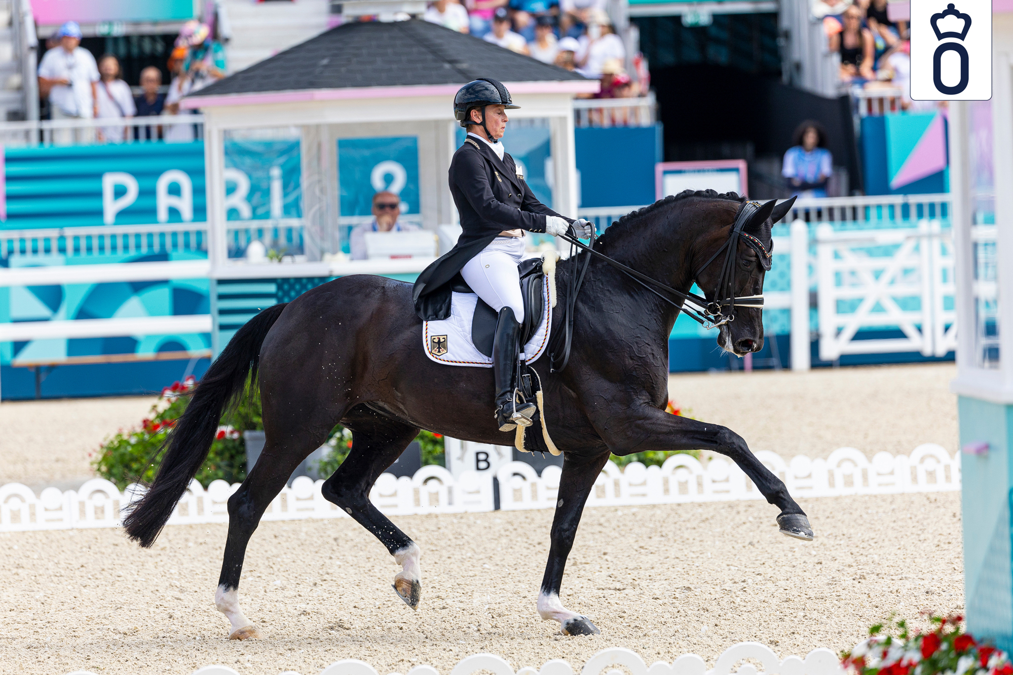 Die Gold- und Silbermedaillengewinnerin der Olympischen Spiele 2024 in Paris, Wendy de Fontaine, bereichert die Oldenburger Elite-Auktion mit einem bewegungsstarken Sohn. (de Koster)