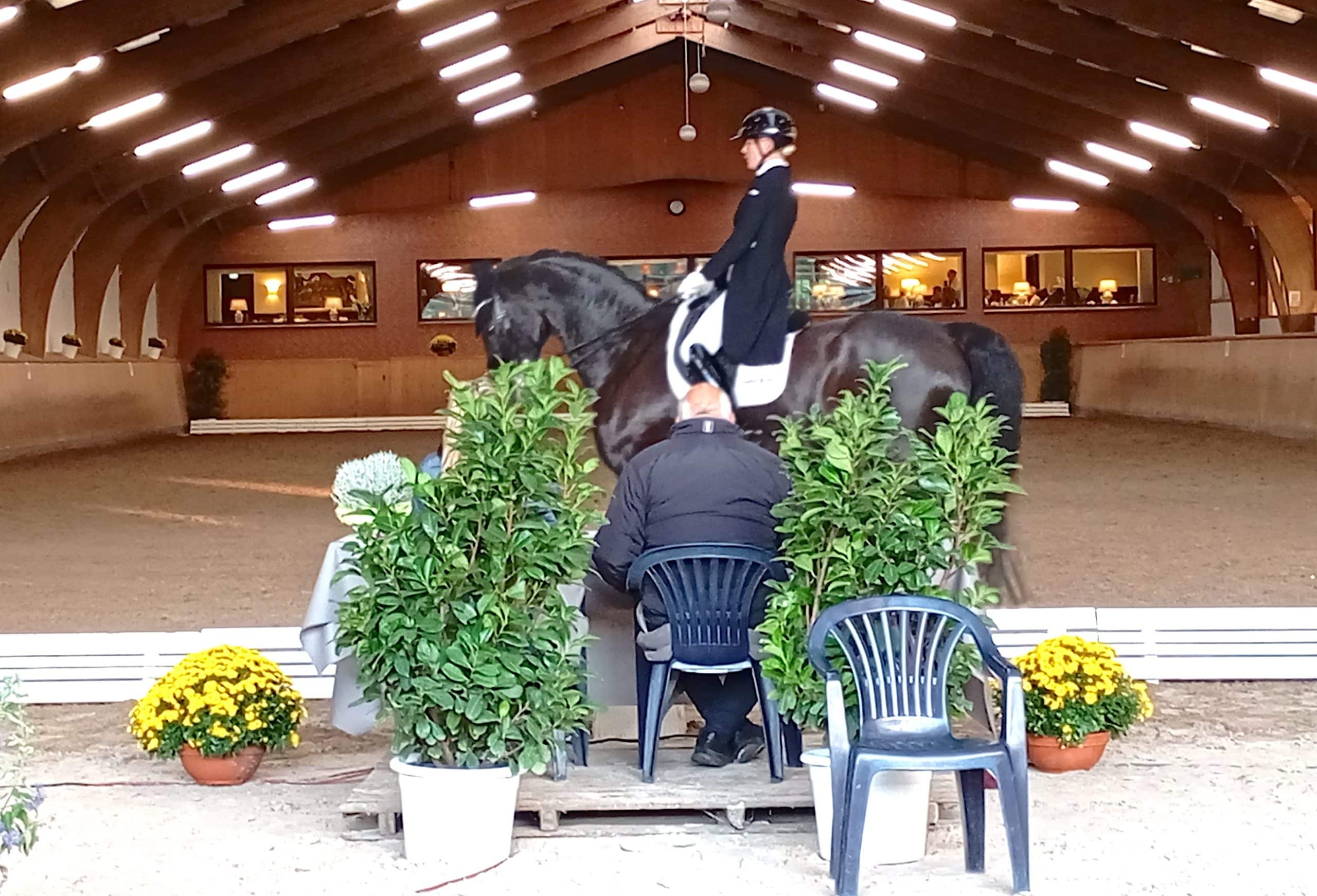 Mir drei Pferden beim einladend gestalteten Schenefelder Dressurfestival: Juliane Brunkhorst - hier mit Con Cento - gewann an Tag eins schon den Grand Prix der Nordic GP Dressage Trophy. (Foto: ALL)