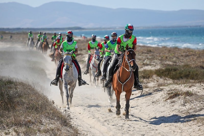 FEI Endurance-Europameisterschaft für junge Reiter, Junioren und junge Pferde – Arborea (ITA)