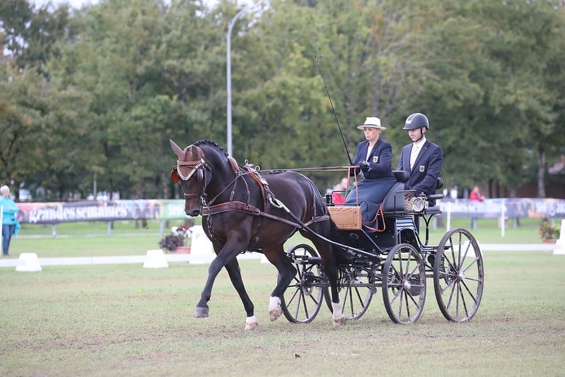 Jessica Wächter (GER) und Gucci FST bei der FEI Driving World Championship for Young Horses 2024 – Lamotte Beuvron (FRA). Copyright ©FEI/FFE/PSV.