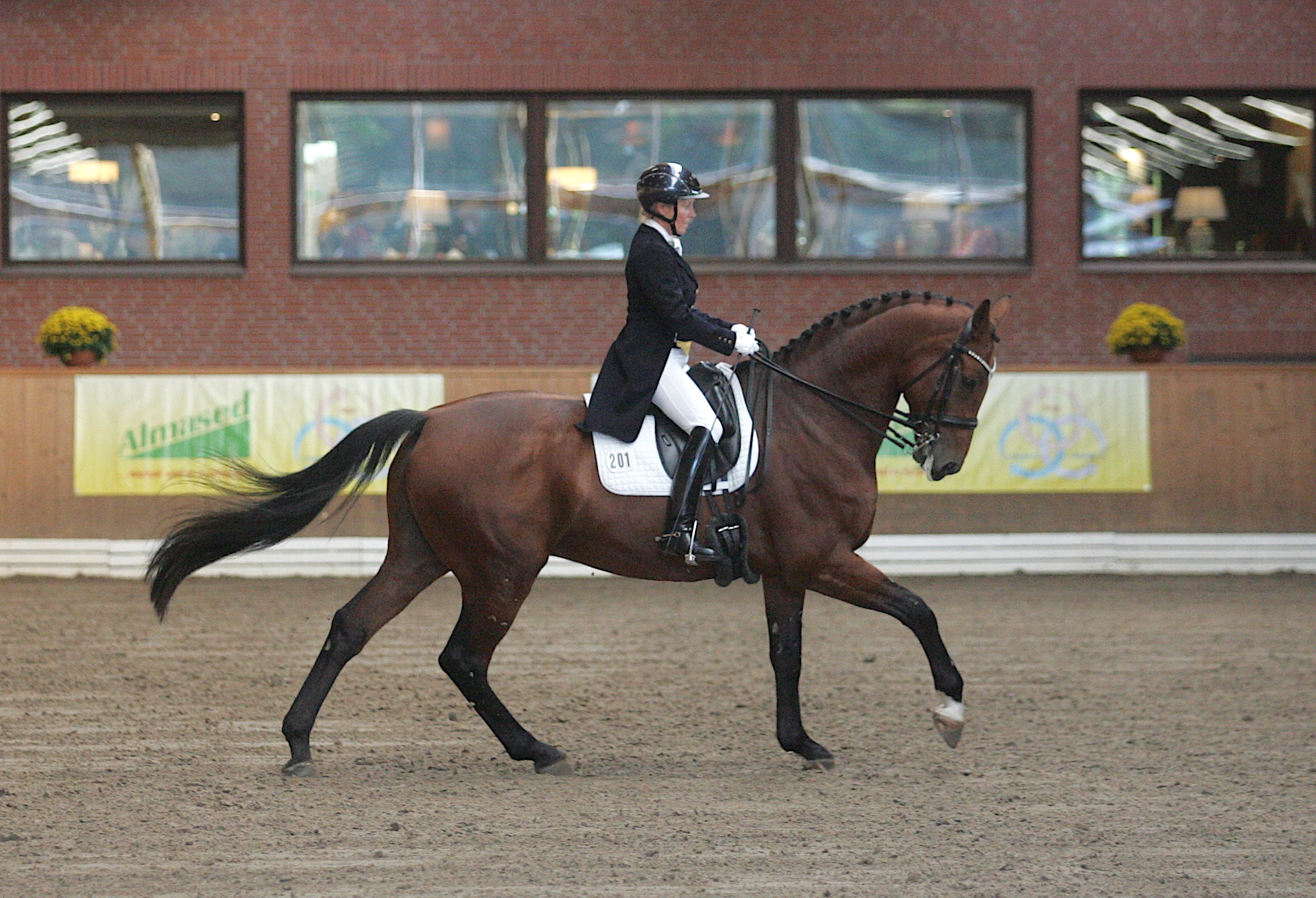 Maren Hofer und Noah Lee in der Finalprüfung beim Schenefelder Dressurfestival, dem Prix St. Georges Special. (Foto: BM)