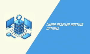 Cheap Reseller Hosting Options