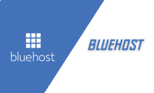 Bluehost free domain name