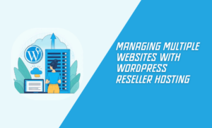 Managing Multiple Websites with WordPress Reseller Hosting