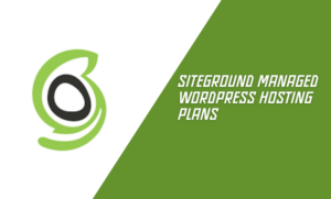 SiteGround Managed WordPress Hosting Plans