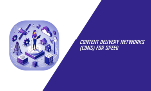 Content Delivery Networks (CDNs) for Speed