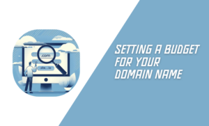 Setting a Budget for Your Domain Name