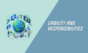 Liability and Responsibilities: Offshore Website Hosting