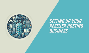 Setting Up Your Reseller Hosting Business