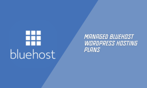 Managed Bluehost WordPress Hosting Plans