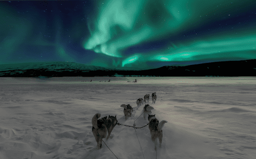 norrsken i Kiruna northern lights